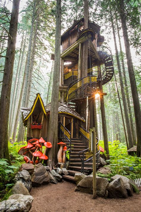 Waterfont treehouse in a magical forest